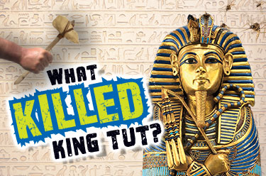 King Tut&apos;s sarcophagus