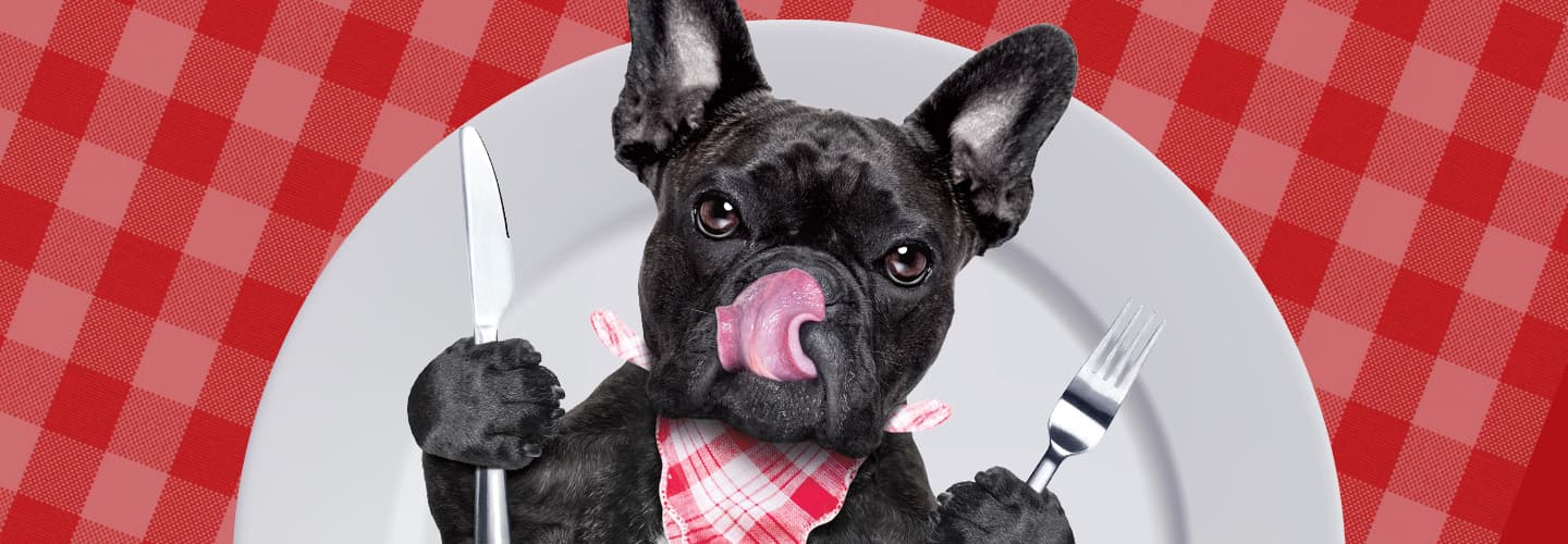 Dog licking its mouth while wearing a bib and holding a fork and knife. Dinner plate in background